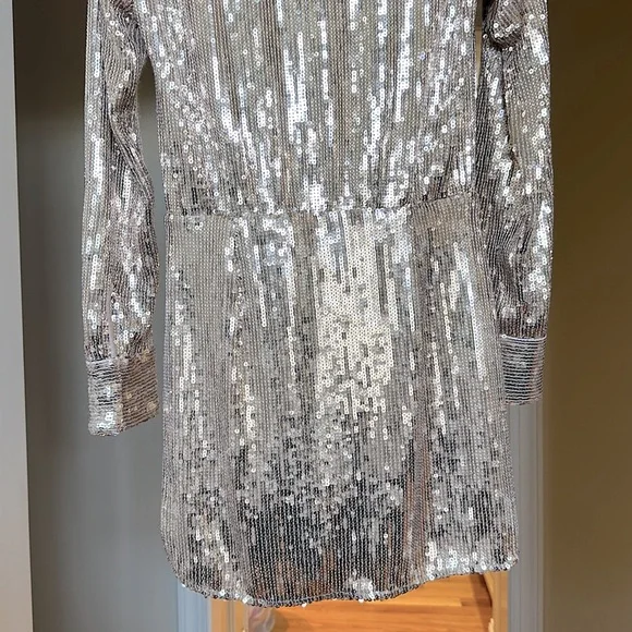 Women’s Sequin Dress - Picture 7 of 10